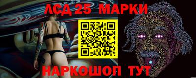 стаф Гудермес