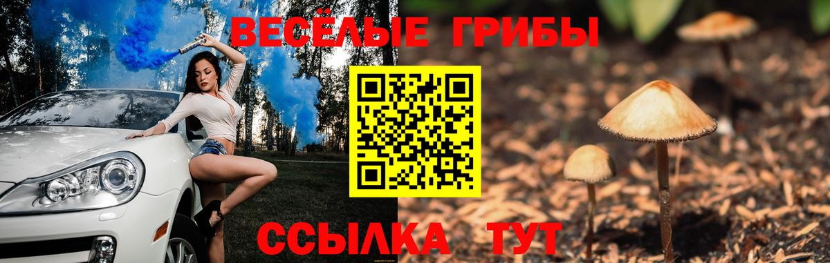 Псилоцибиновые грибы мицелий  Вход с VPN  Воркута 